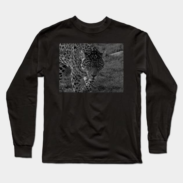 Jaguar Long Sleeve T-Shirt by Ladymoose